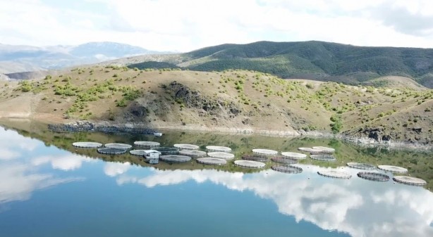 Foto - Avrupa’ya ve Rusya’ya gönderilecek Türkye bir alan daha atağa kalktı