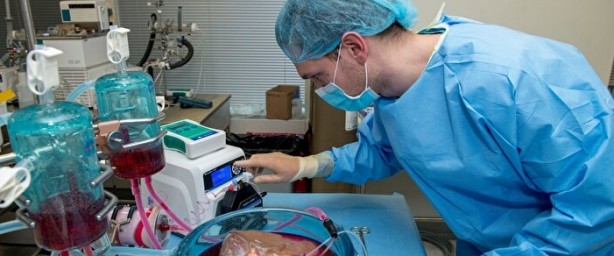 Foto - Avuç içinde ortaya çıkıyor! Vücuda alarm verdiren belirti