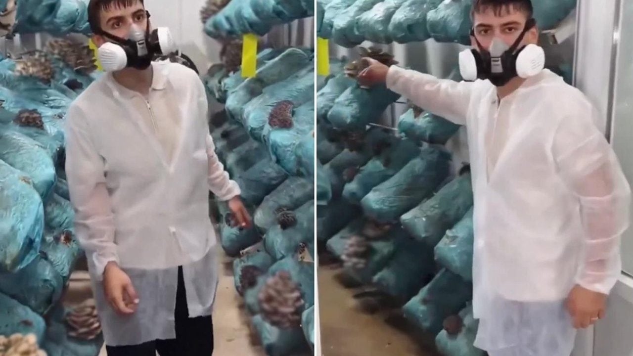 Avukatlığı bırakıp apar topar bu işe başladı! Kazancını bir ayda tamı tamına 8’e katladı