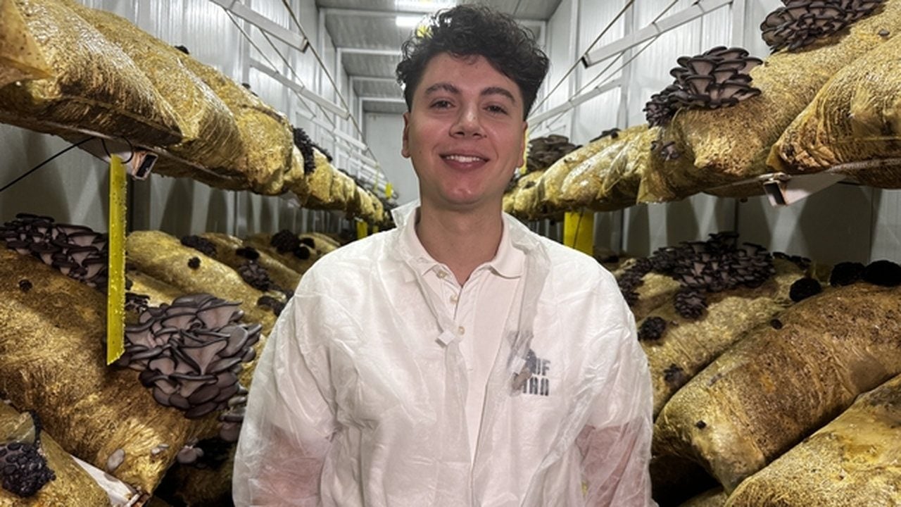 Foto - Avukatlığı bırakıp apar topar bu işe başladı! Kazancını bir ayda tamı tamına 8’e katladı