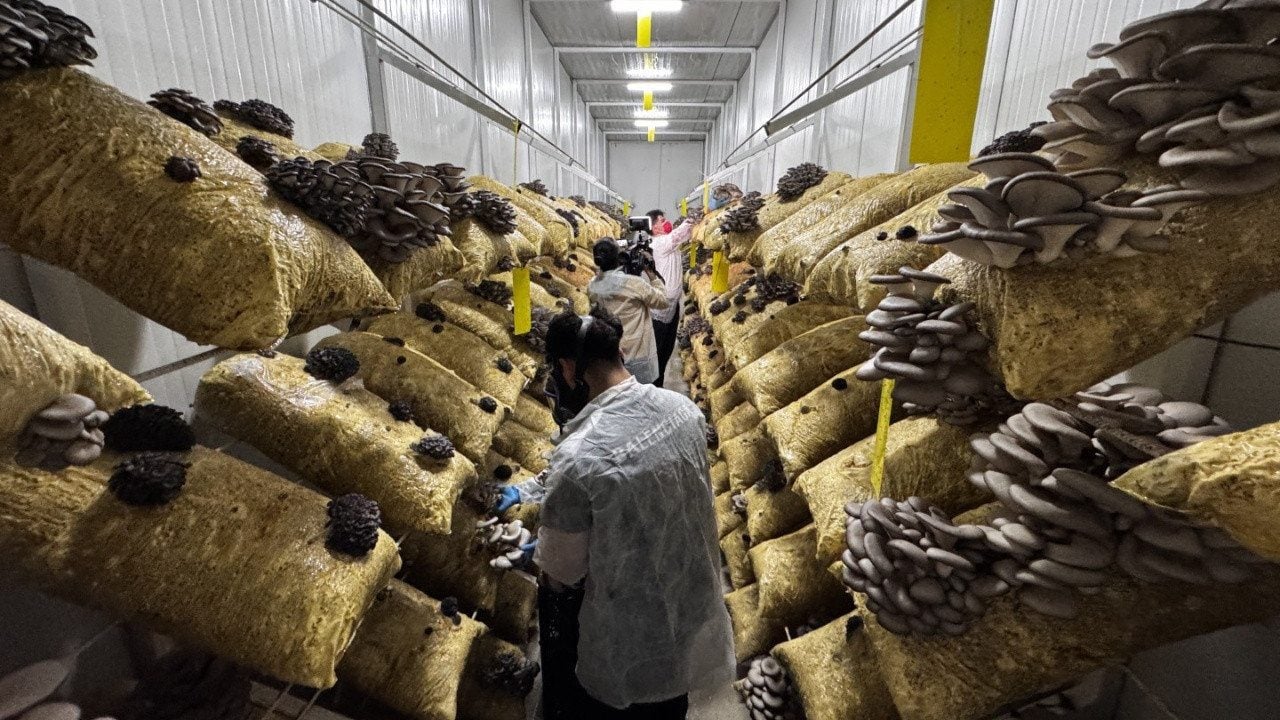Foto - Avukatlığı bırakıp apar topar bu işe başladı! Kazancını bir ayda tamı tamına 8’e katladı