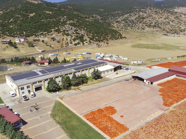 Foto - Avukatlığı bıraktı, biber işleme tesisi kurdu