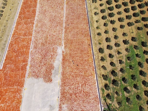 Foto - Avukatlığı bıraktı, biber işleme tesisi kurdu
