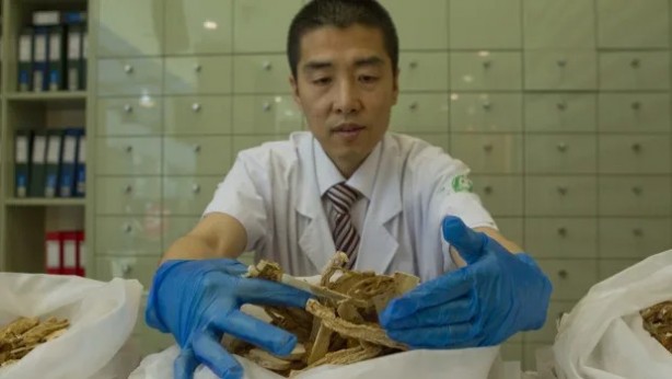 Foto - Avustralya başbakanın Çinli doktorundan skandal hata! Hastası göz göre göre öldü