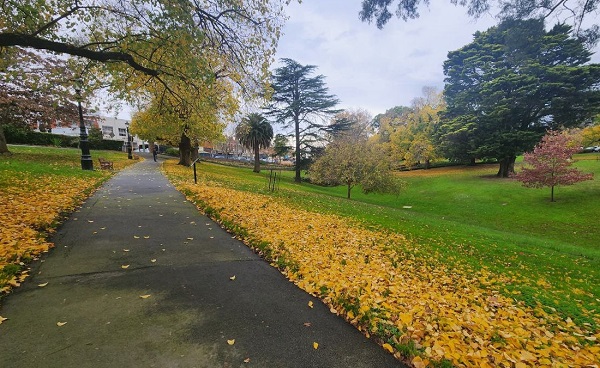 Foto - Avustralya'da sonbahar güzelliği yaşanıyor