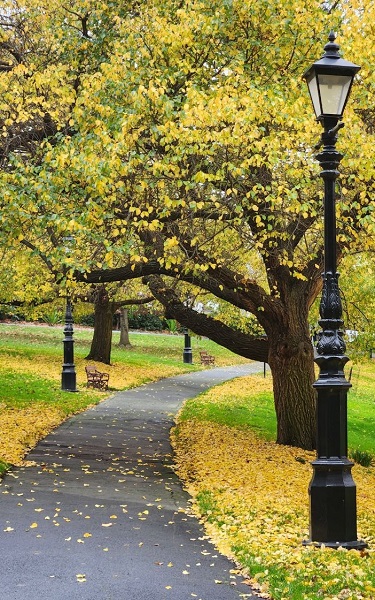 Foto - Avustralya'da sonbahar güzelliği yaşanıyor