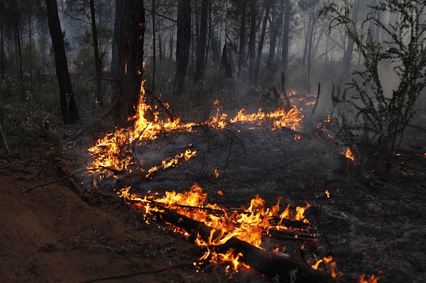 Foto - Avustralya’da yıldırım paniği