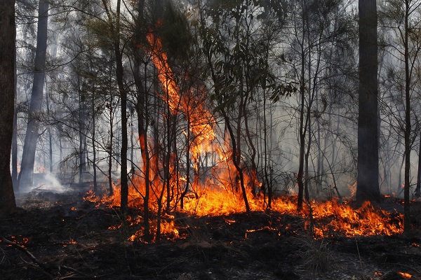 Foto - Avustralya’da yıldırım paniği