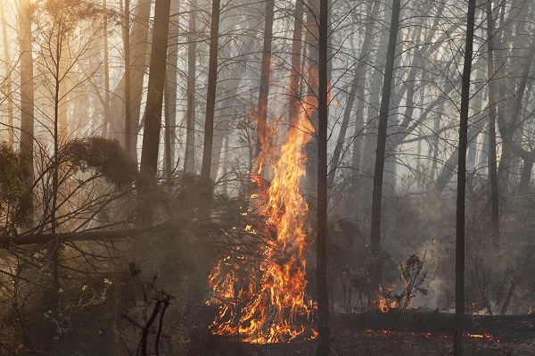 Foto - Avustralya’da yıldırım paniği
