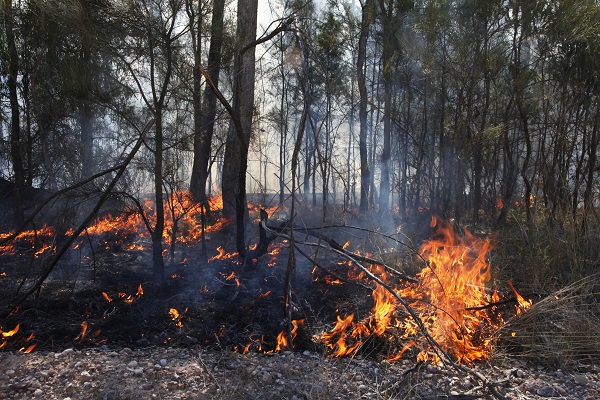 Foto - Avustralya’da yıldırım paniği