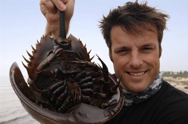 Foto - Avustralya'dan çılgın görüntüler