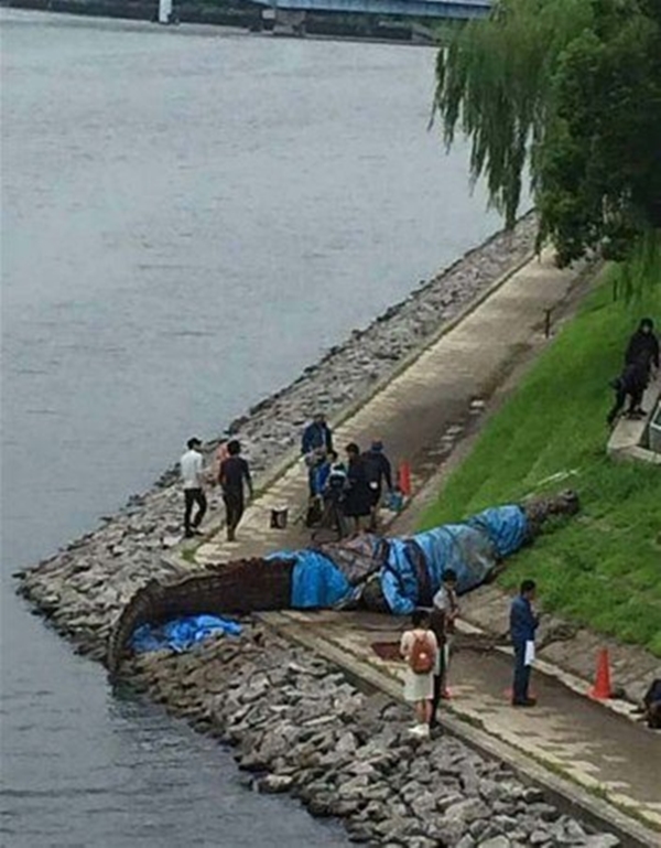 Avustralya'dan çılgın görüntüler