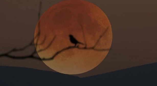 Foto - Ay olmasaydı Dünya'da neler olurdu?