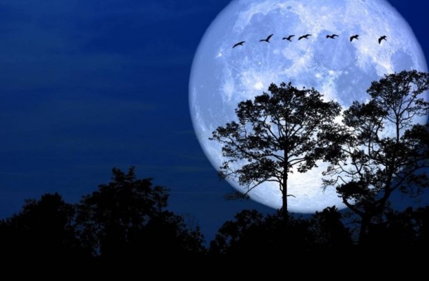 Foto - Ay olmasaydı Dünya'da neler olurdu?