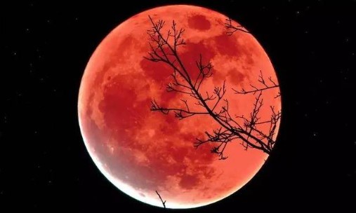 Foto - Ay olmasaydı Dünya'da neler olurdu?