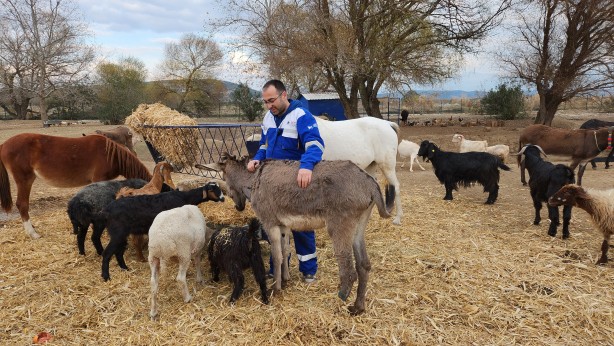 Foto - Ayağı kırılınca sahipleri tarafından terk edilen eşek tedaviye alındı!