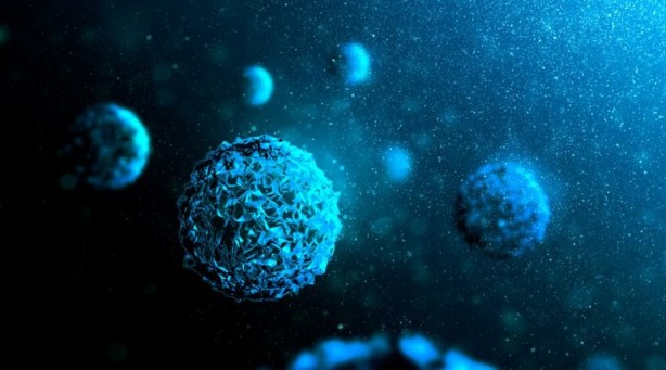 Müthiş keşif! Ayaklarımızın altında yatan gerçek 