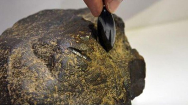 Foto - Ayaklarına takılan taşın ne olduğunu öğrenince havalara uçtular!