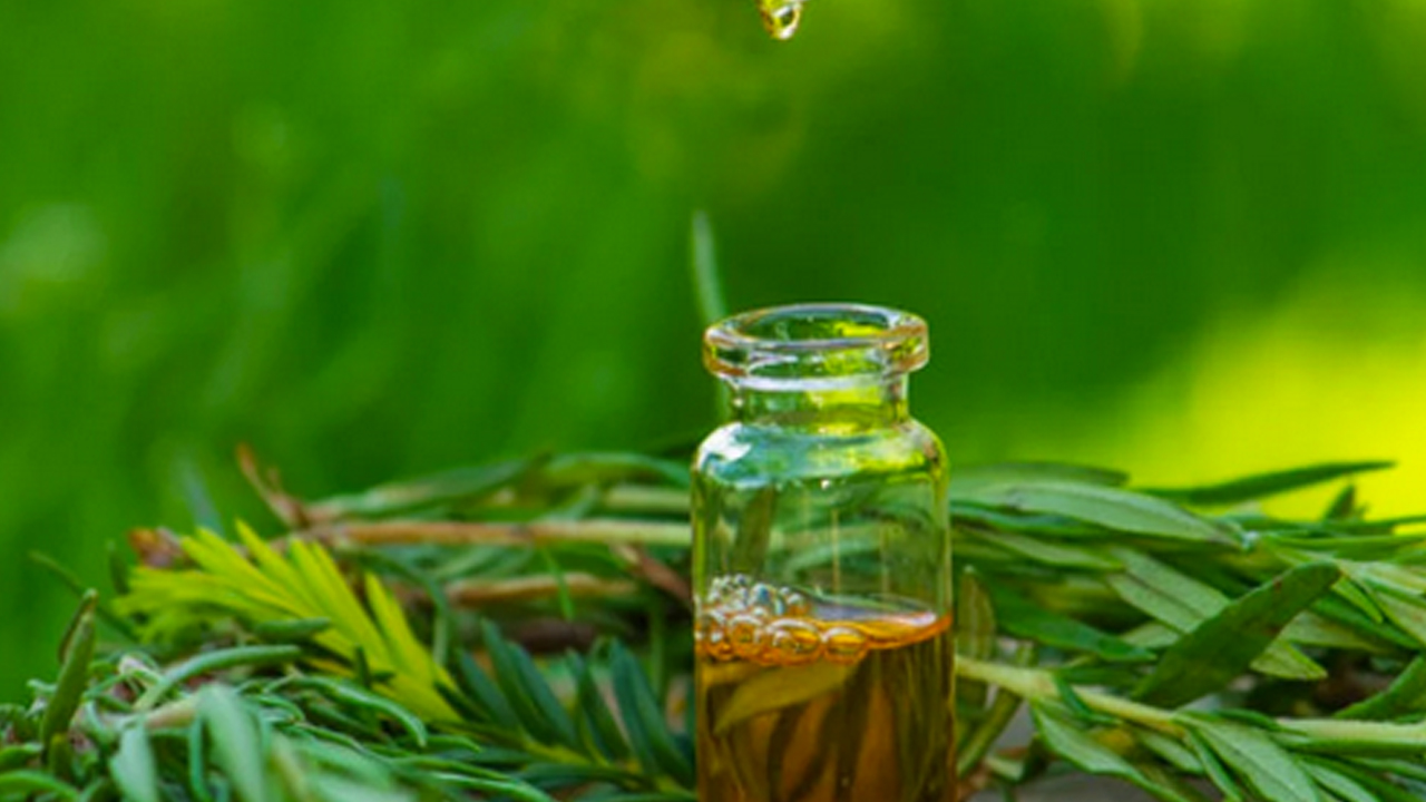 Foto - Ayaklarınıza ondan sürün, ne mantar kalsın ne de nasır: Su serpin! Bu yağ doğal şifa kaynağı