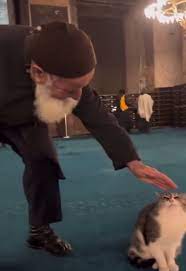 Foto - Ayasofya'nın kedisini 'Seni Yaradan'a gurban olayım’ diye sevmişti! Ve Ahmet dede bulundu! Maskara ettiler 