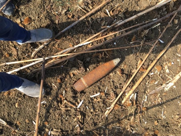 Foto - Ayçiçeği toplamaya gitti, karşılaştığı manzarayla şok oldu