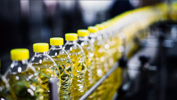 Ayçiçek yağı fiyatları patlayıp gidebilir! Maalesef o ilimizden kötü haber geldi