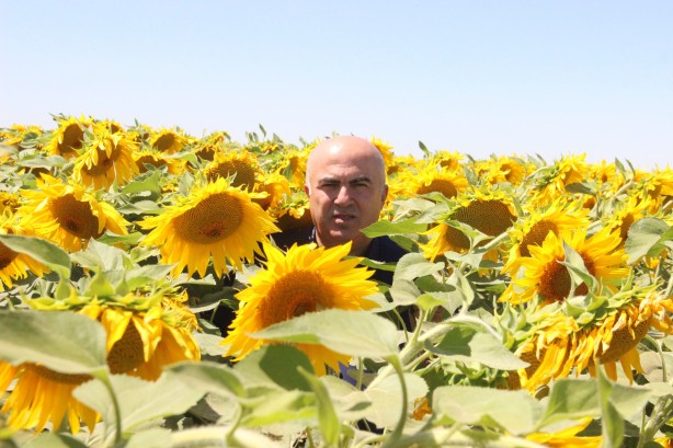 Foto - Ayçiçek yağı fiyatlarını etkileyecek haber o ilimizden geldi!