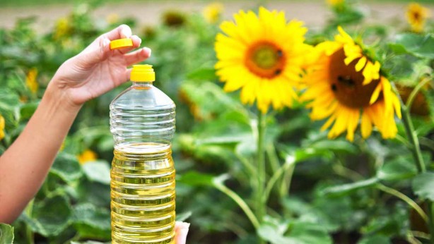 Foto - Ayçiçek yağı fiyatlarıyla ilgili büyük skandal! Vatandaşı soymaya başladılar