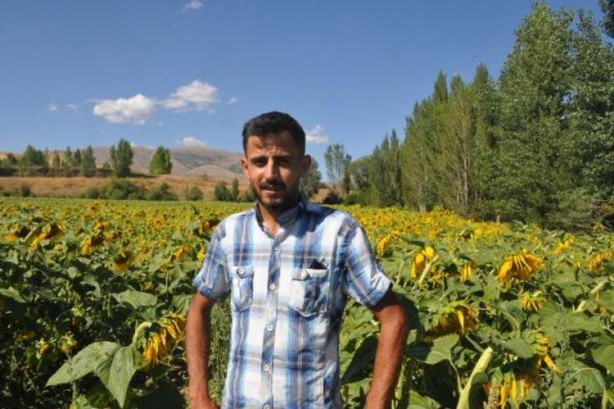 Foto - Ayçiçek yağı için Türkiye'ye görülmemiş haber! Tarlalarına ektiler ama bu sonuç hiç ama hiç beklenmiyordu