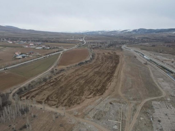 Foto - Ayçiçek yağı için Türkiye'ye görülmemiş haber! Tarlalarına ektiler ama bu sonuç hiç ama hiç beklenmiyordu