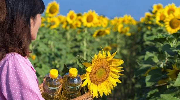 Foto - Ayçiçek yağı iyi mi yoksa kötü mü?