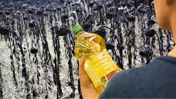 Foto - Ayçiçek yağından çok kötü haber! Fiyatları şok edecek