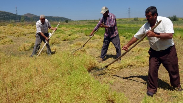 Foto - Ayda 30 bin lira kazanıyorlar! Birkaç yıla bu işi yapacak kimse bulunamayacak