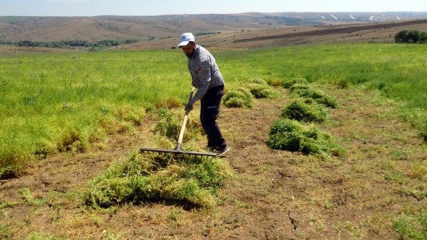Foto - Ayda 30 bin lira kazanıyorlar! Birkaç yıla bu işi yapacak kimse bulunamayacak