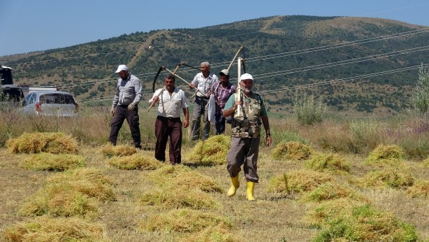 Foto - Ayda 30 bin lira kazanıyorlar! Birkaç yıla bu işi yapacak kimse bulunamayacak