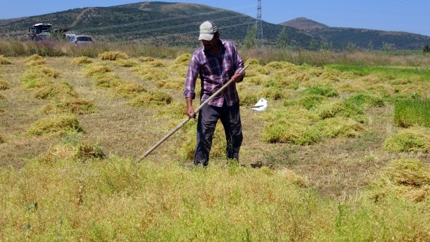 Foto - Ayda 30 bin lira kazanıyorlar! Birkaç yıla bu işi yapacak kimse bulunamayacak