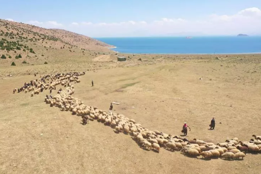 Foto - Ayda 40 bin lira getirisi var! Bir türlü eleman bulamıyorlar