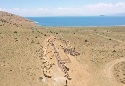 Foto - Ayda 40 bin lira getirisi var! Bir türlü eleman bulamıyorlar