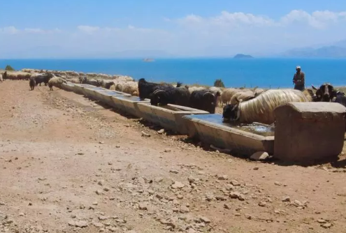 Foto - Ayda 40 bin lira getirisi var! Bir türlü eleman bulamıyorlar