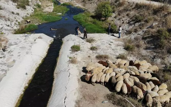 Foto - Ayda 40 bin lira getirisi var! Bir türlü eleman bulamıyorlar