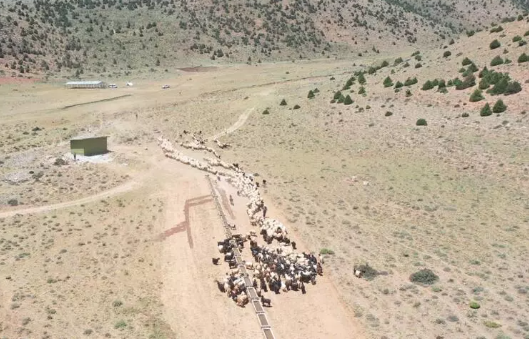 Ayda 40 bin lira getirisi var! Bir türlü eleman bulamıyorlar