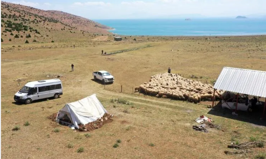 Foto - Ayda 40 bin lira getirisi var! Bir türlü eleman bulamıyorlar