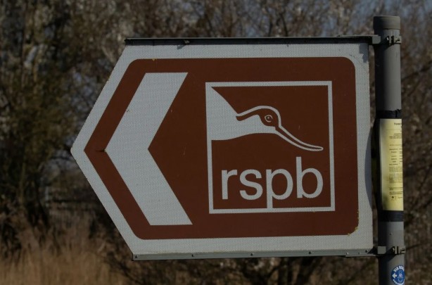 Foto - Ayda 55 bin lira verecekler, 13 aylık çalışacak biri arıyorlar!