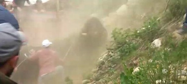 Foto - Ayder'de arenadan kaçan boğalar seyircilerin arasına daldı