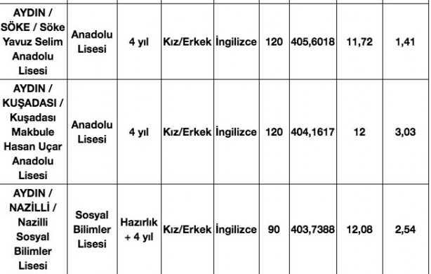 Foto - Aydın liseleri taban puanları, kontenjanları, yüzdelik dilimleri 2020