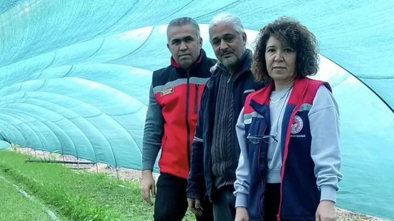 Aydın’da örnek girişim! İlçe üretim üssü haline geldi