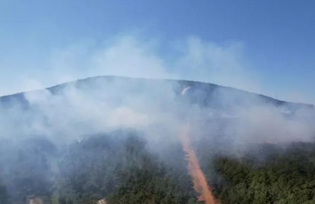 Foto - Aydos Ormanı’nda korkutan yangın!