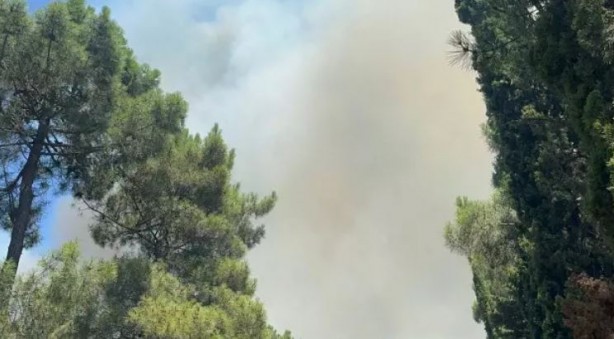 Foto - Aydos Ormanı’nda korkutan yangın!