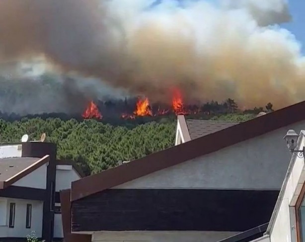 Aydos Ormanı’nda korkutan yangın!