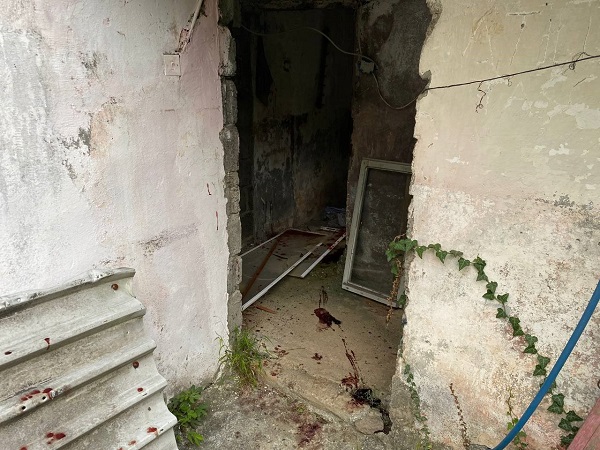 Foto - Ayı saldırısına uğradı, o dehşet anlarını anlattı